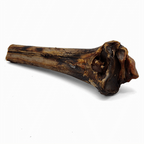 Large Ostrich Cane (11.5" x 5"): The Ultimate Long-Lasting Chew for Medium, Large & XL Dogs - Rocky's Famous Treats