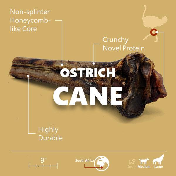 Large Ostrich Cane (11.5" x 5"): The Ultimate Long-Lasting Chew for Medium, Large & XL Dogs - Rocky's Famous Treats
