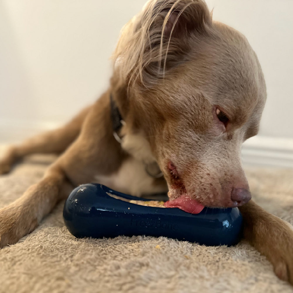 Freezstick - Indestructible Enrichment Chew - Rocky's Famous Treats