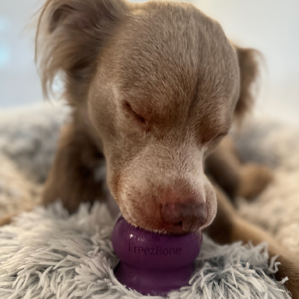 Freezball - Durable Fillable Dog Chew Bone - Rocky's Famous Treats