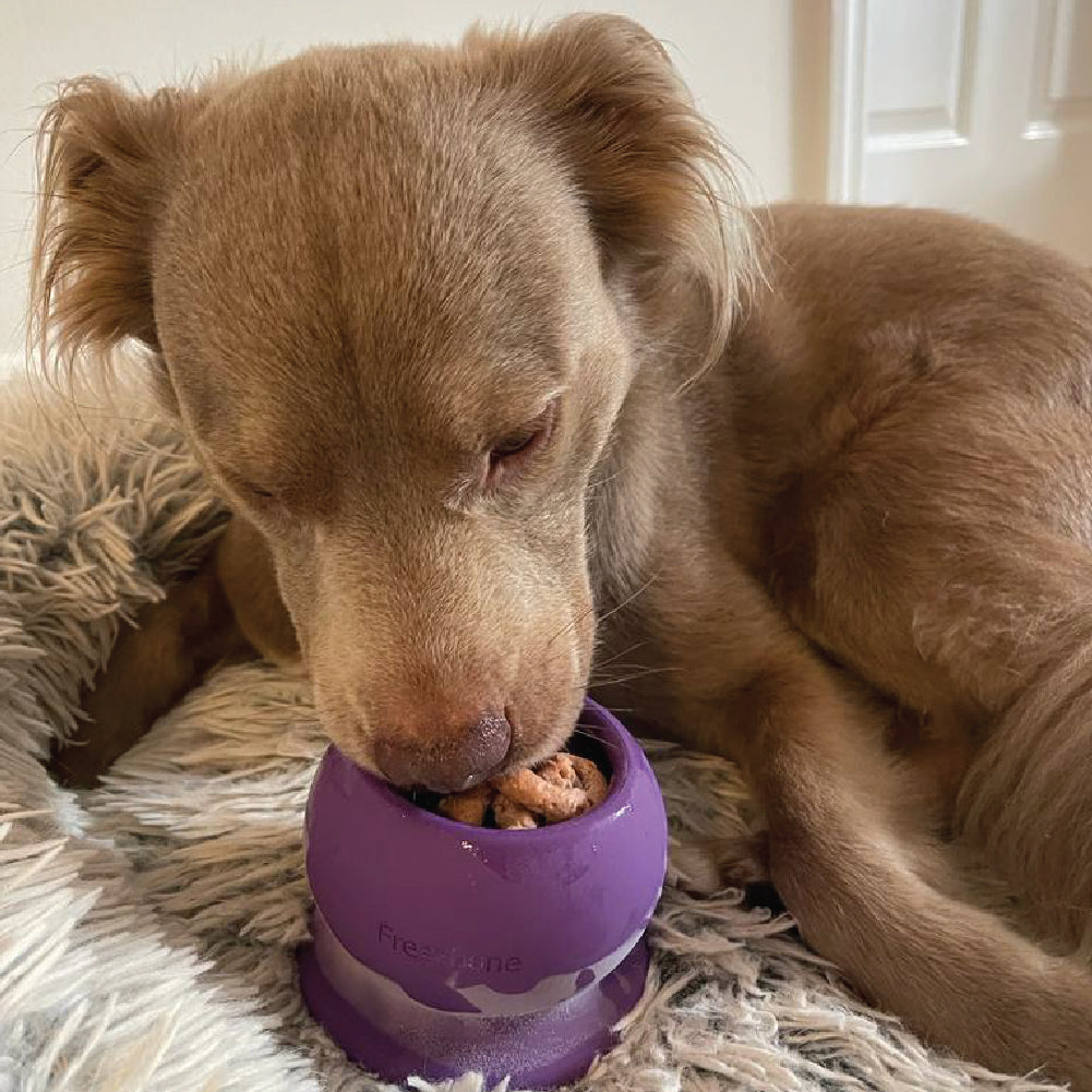 Freezball - Durable Fillable Dog Chew Bone - Rocky's Famous Treats