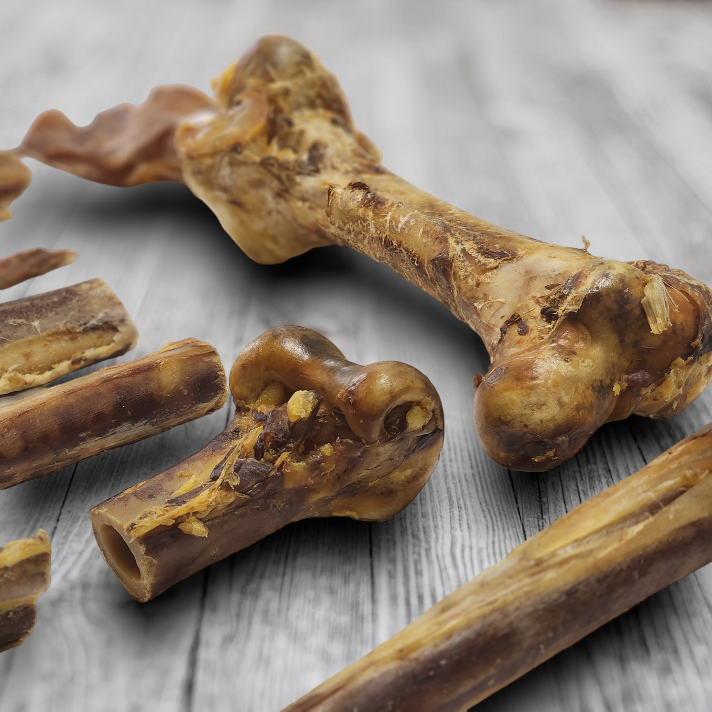 Ostrich Long Bone (19" x 3.5"): The Ultimate Challenge for Medium, Large & Extra-Large Dogs - Rocky's Famous Treats