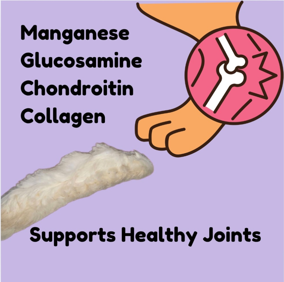Rabbit Feet Dog Chews: Novelty Protein snack for Allergies and Sensitive Stomach with Crunchy Dental Health benefits and Easy Digestion