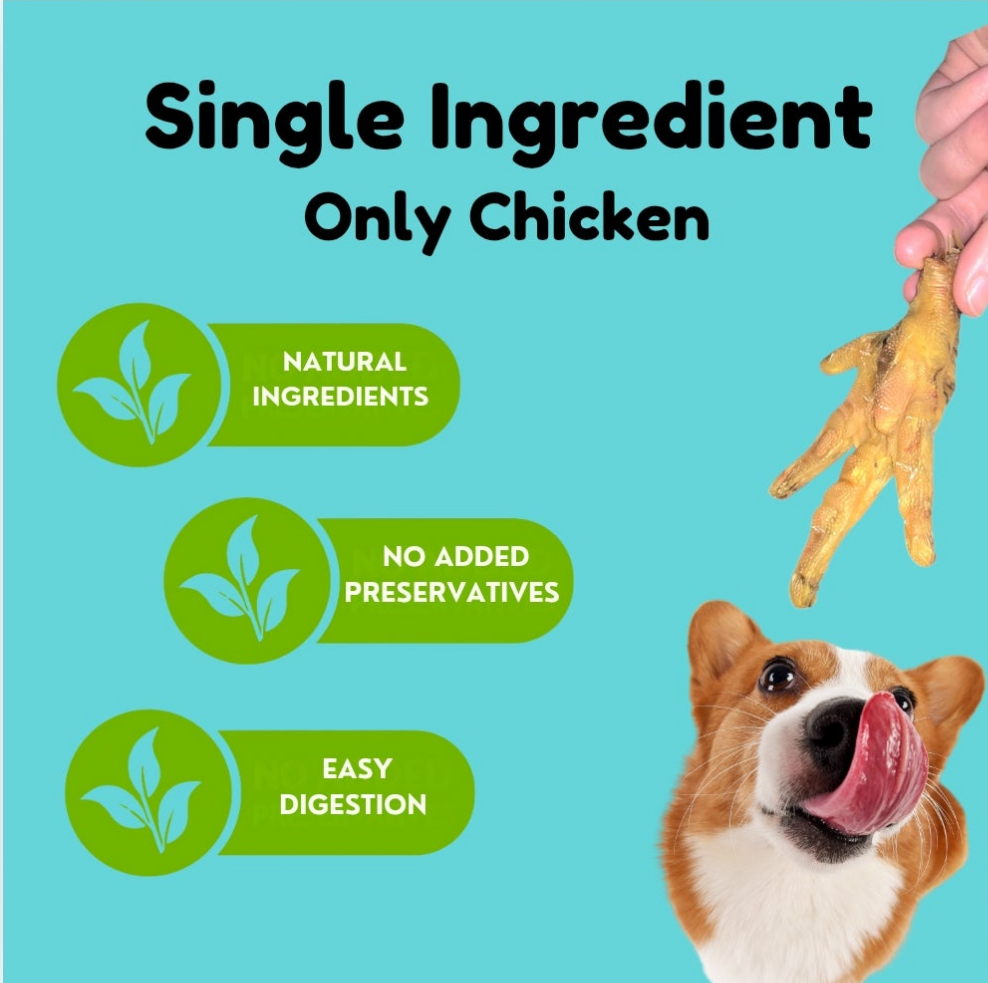Natural Chicken Feet Dog Treats - Crunchy, Single Ingredient formula supporting Dental Health and Easy Digestion for Allergies and Sensitive Stomach