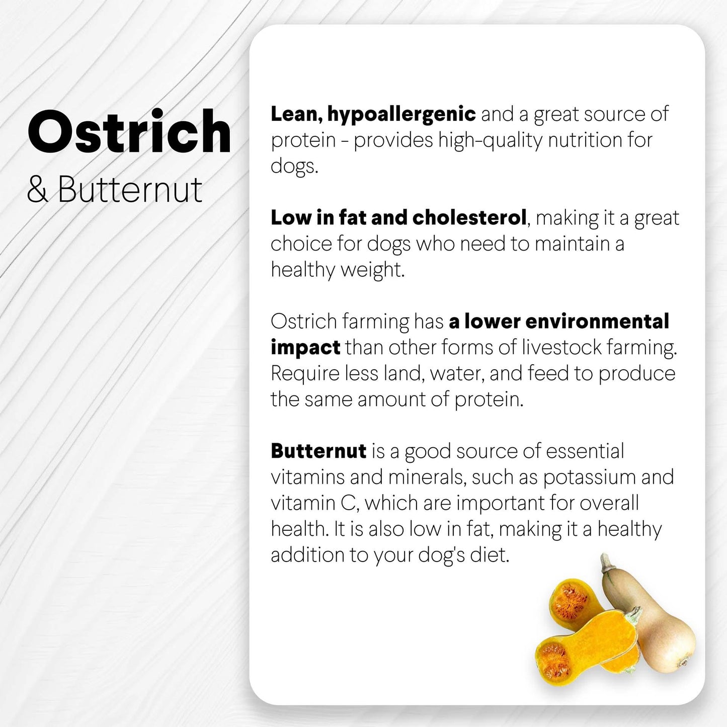 Ostrich Chips with Butternut (2.5oz): The Flavorful, Hypoallergenic Treat for Dogs with Sensitive Stomachs - Rocky's Famous Treats