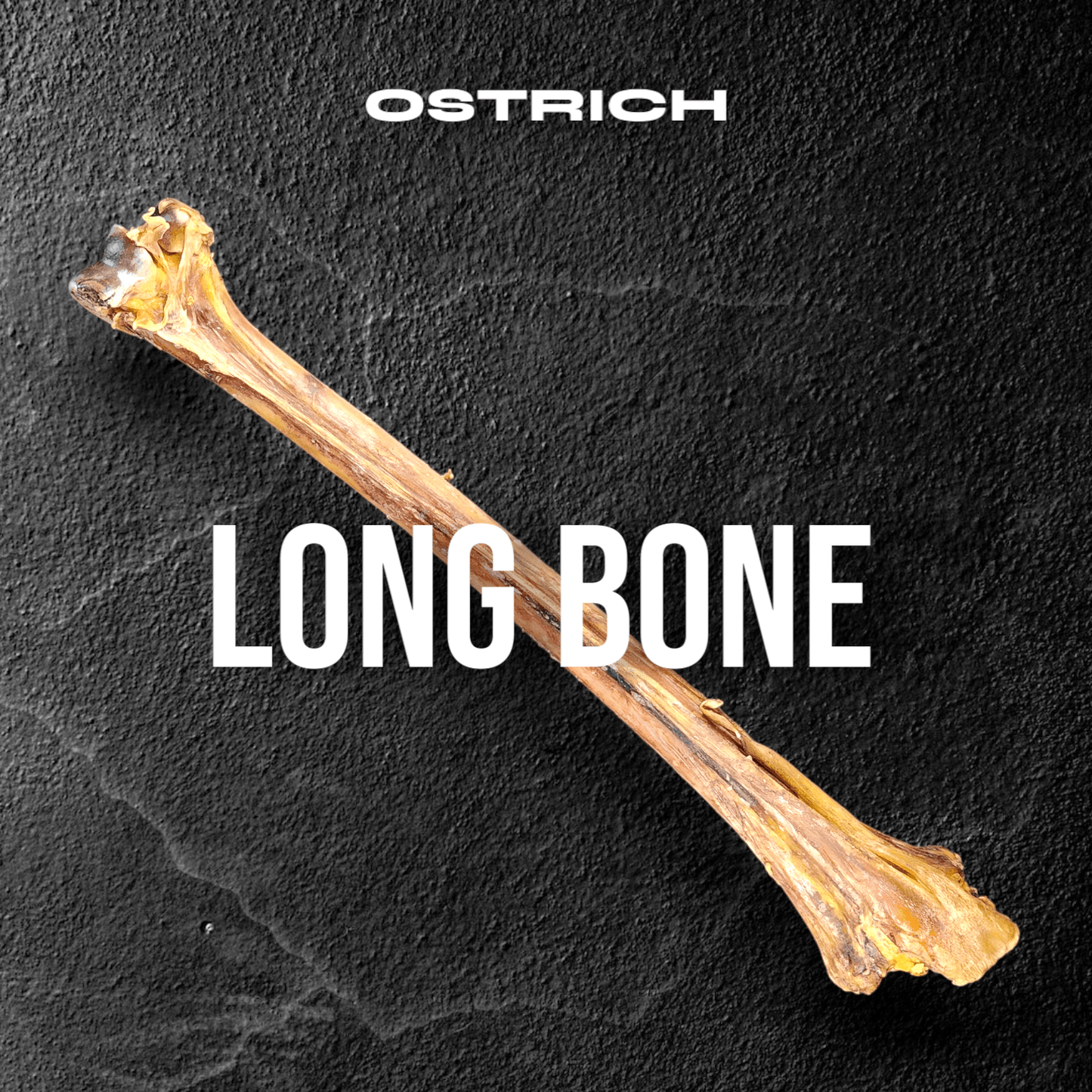 Ostrich Long Bone (19" x 3.5"): The Ultimate Challenge for Medium, Large & Extra-Large Dogs - Rocky's Famous Treats