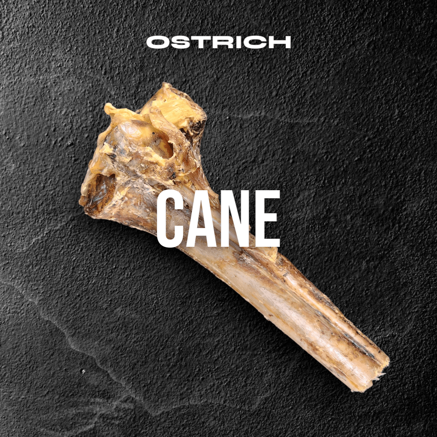 Large Ostrich Cane (11.5" x 5"): The Ultimate Long-Lasting Chew for Medium, Large & XL Dogs - Rocky's Famous Treats