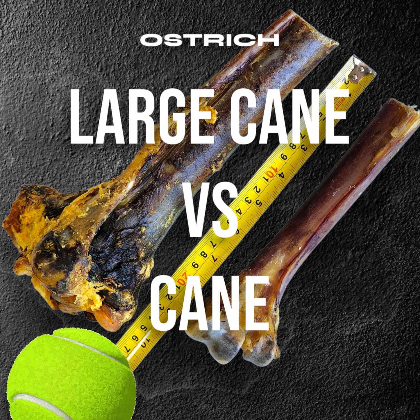 Large Ostrich Cane (11.5" x 5"): The Ultimate Long-Lasting Chew for Medium, Large & XL Dogs - Rocky's Famous Treats