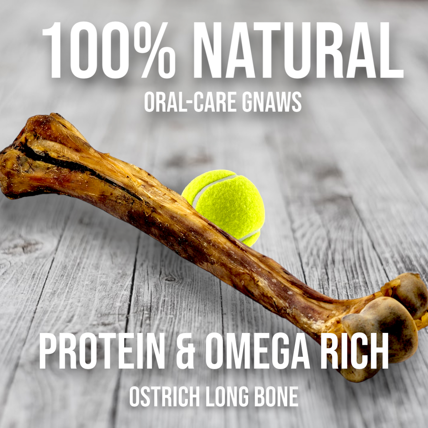 Ostrich Long Bone (19" x 3.5"): The Ultimate Challenge for Medium, Large & Extra-Large Dogs - Rocky's Famous Treats