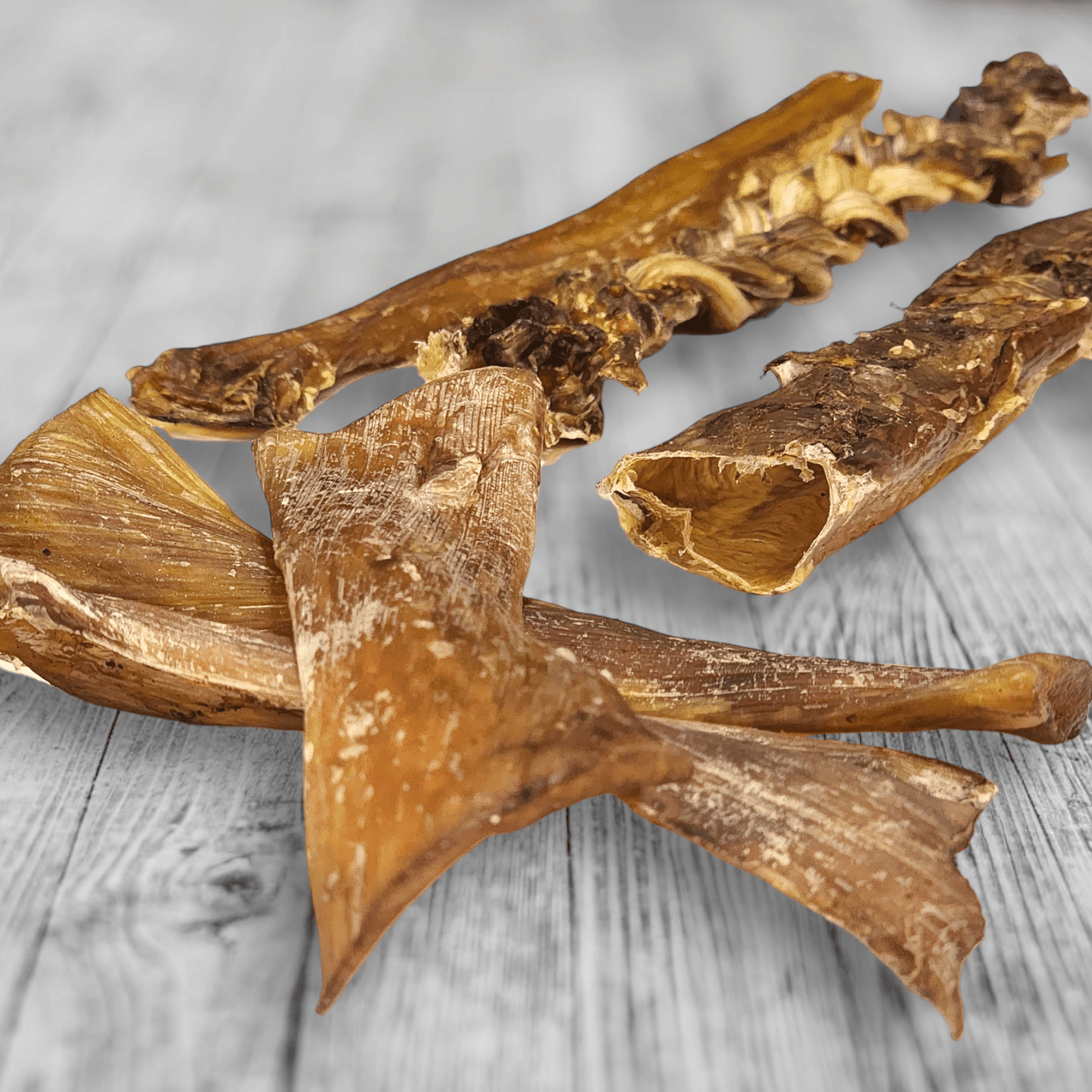 Chewy Ostrich Flat Tendon: Satisfying All-Natural Chew for Dental Health & Gentle Digestion - Rocky's Famous Treats