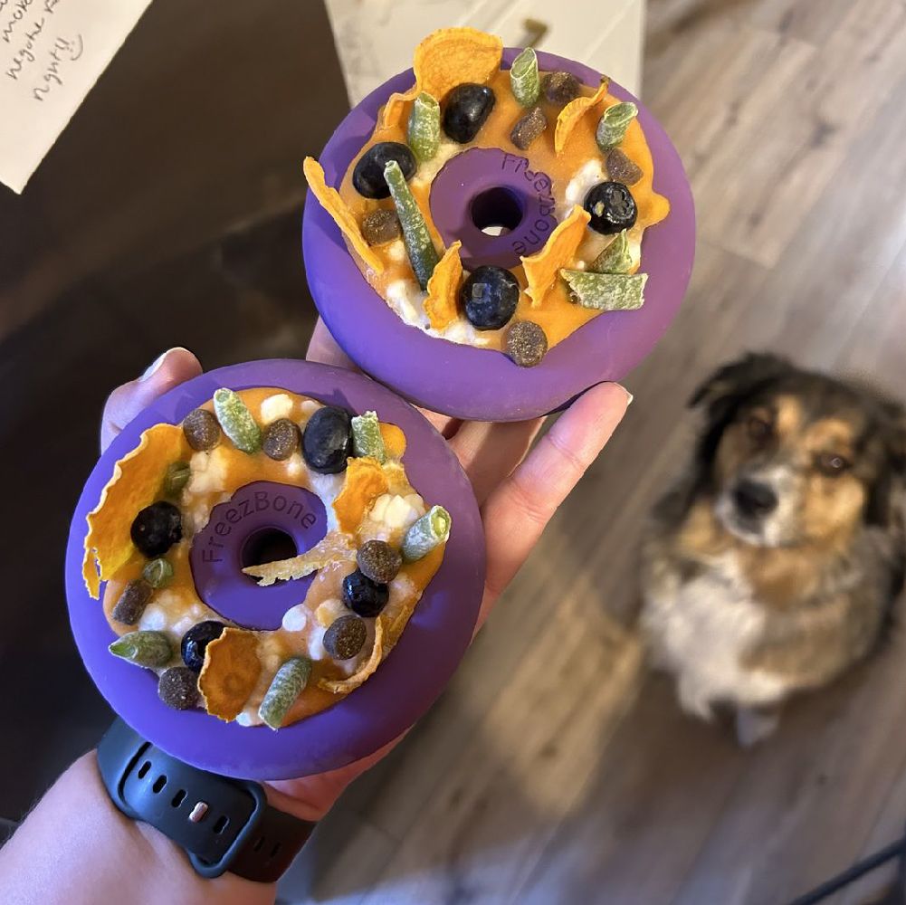 Freez Doughnut - Super Durable Treat Toy - Rocky's Famous Treats