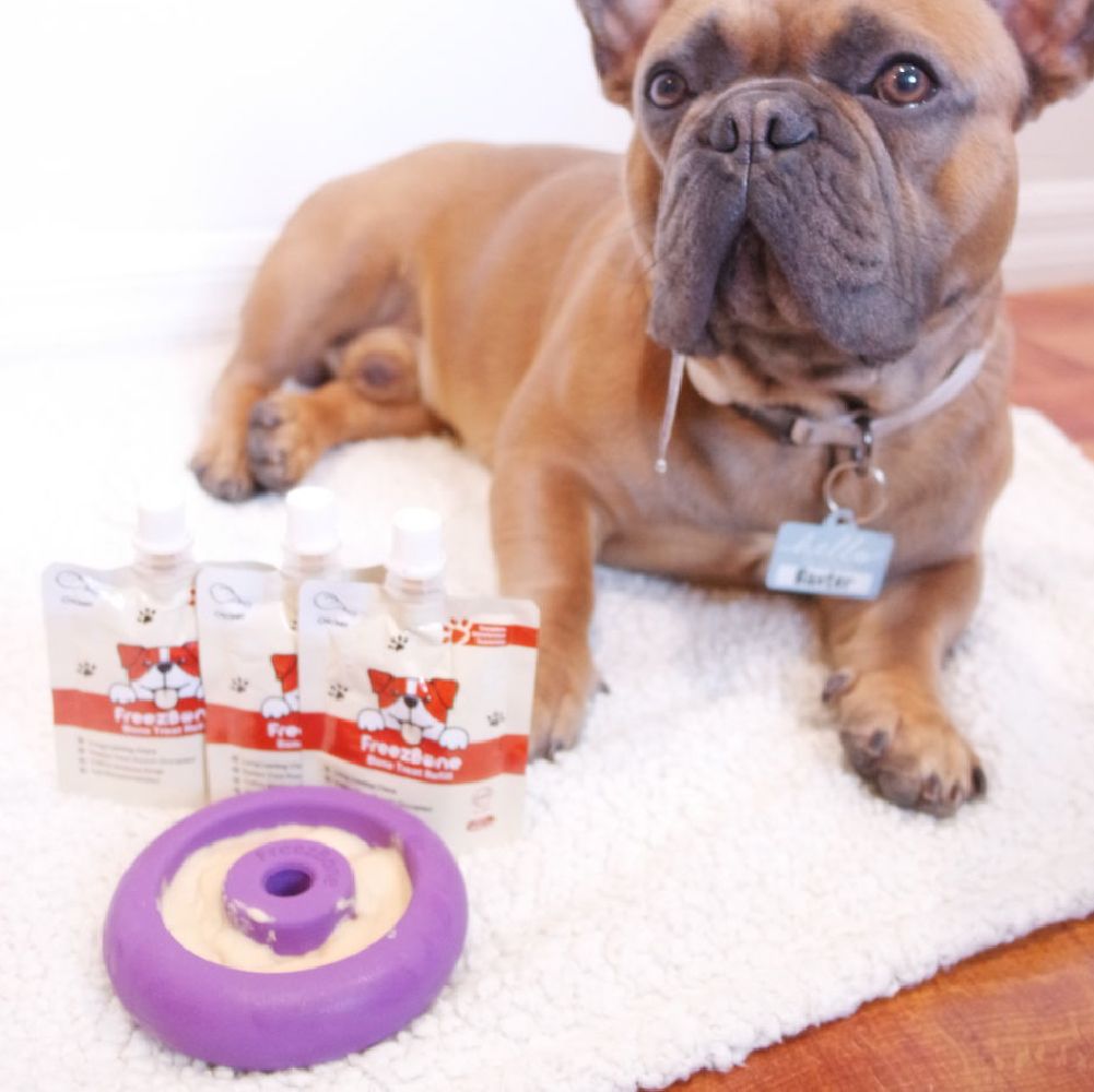 Freez Doughnut - Super Durable Treat Toy - Rocky's Famous Treats