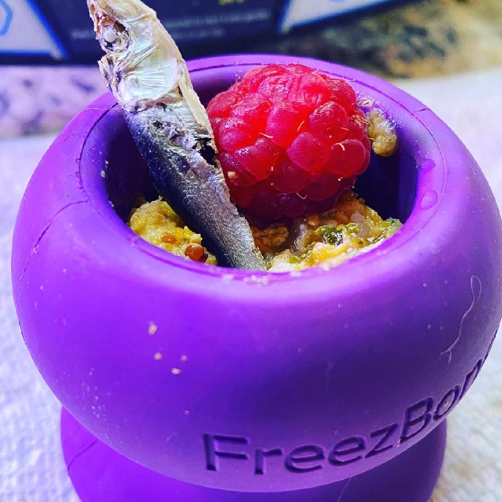 Freezball - Durable Fillable Dog Chew Bone - Rocky's Famous Treats