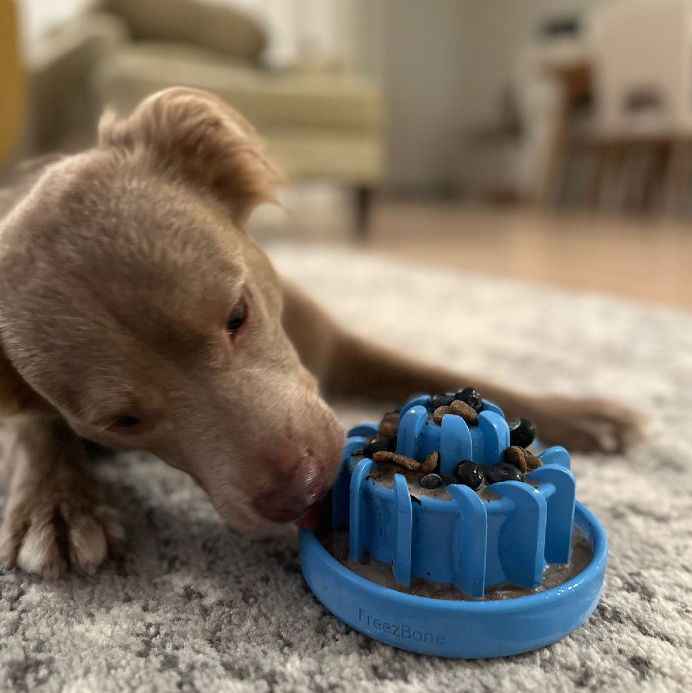 FreezLava Heavy-Duty Enrichment Chew - Rocky's Famous Treats