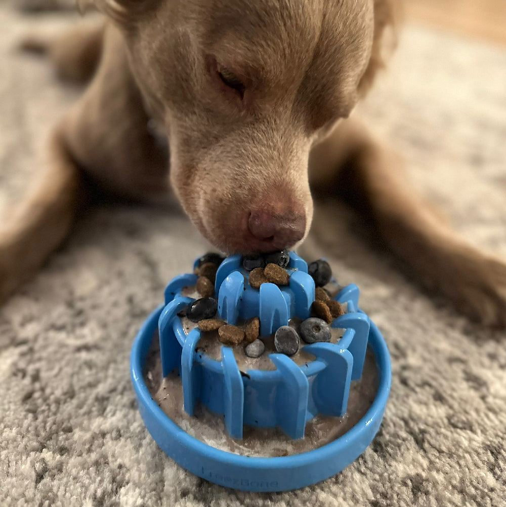 FreezLava Heavy-Duty Enrichment Chew - Rocky's Famous Treats