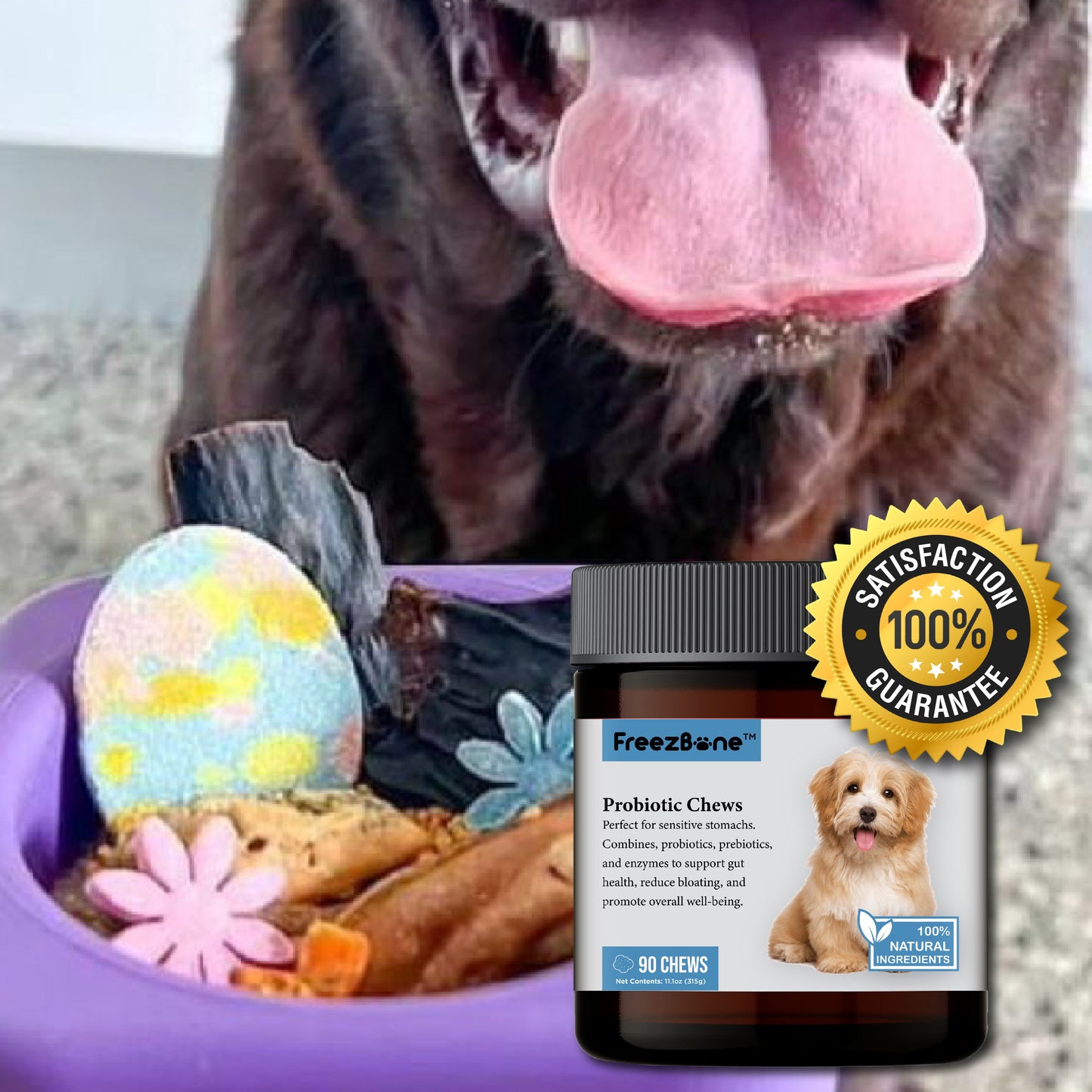 Probiotic Chews (90 Chews) - Rocky's Famous Treats