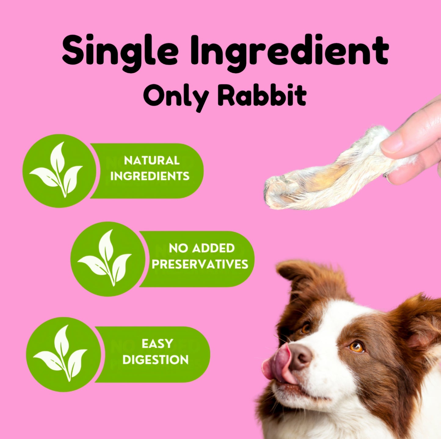 Single ingredient natural Rabbit Ears Dog Chews with novelty protein, crunchy texture for training, sensitive stomach, allergies, and no preservatives