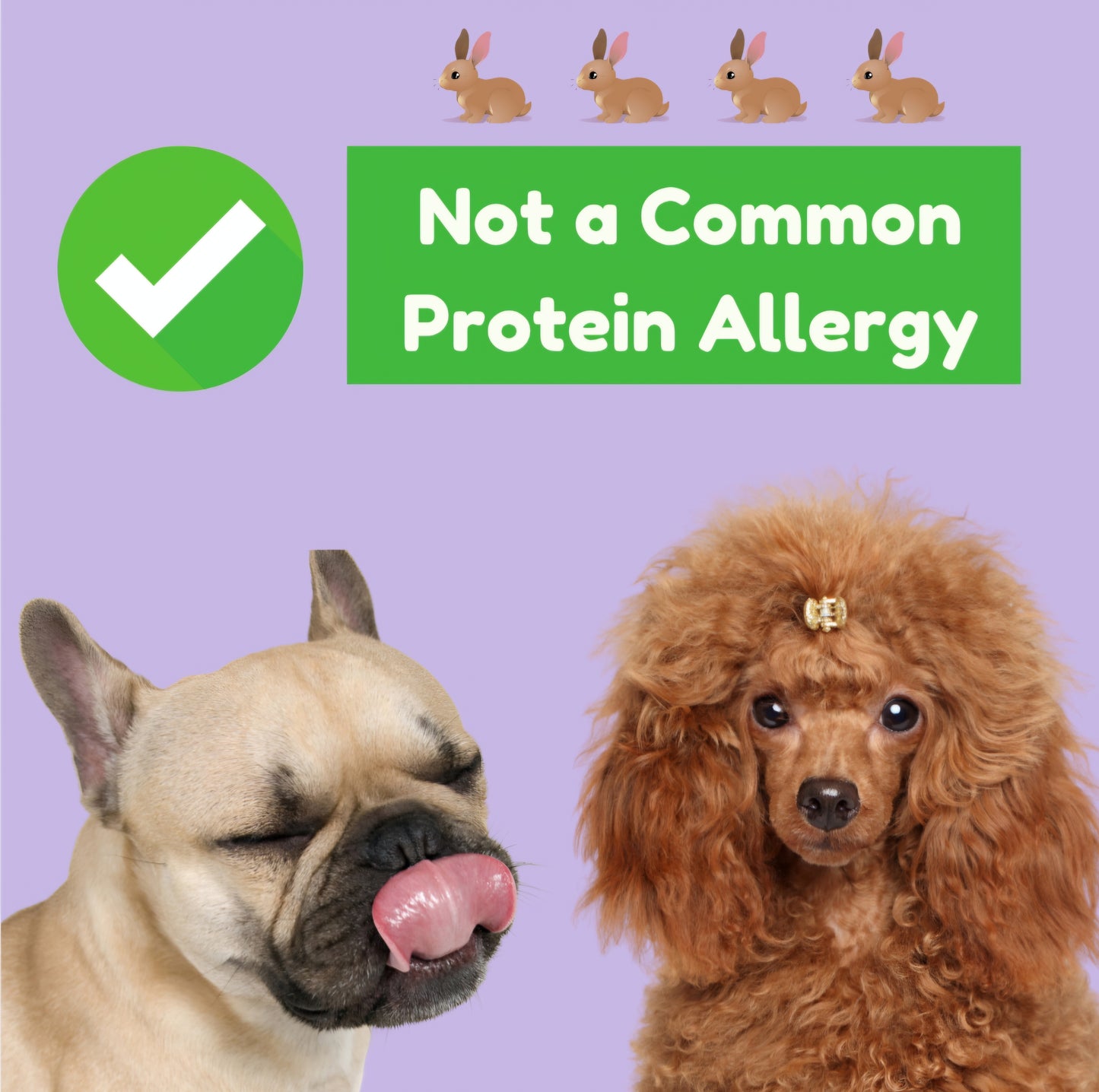 Rabbit Feet Dog Chews – Crunchy Novelty Protein for Allergies, Sensitive Stomach, Dental Health, Easy Digestion, and Cleanse Digestive Tract