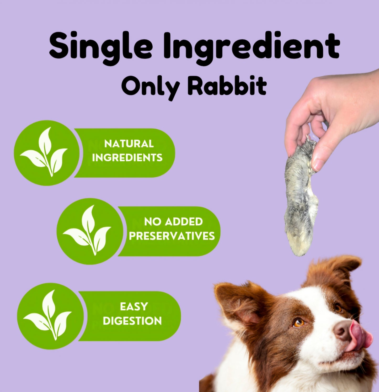Rabbit Feet Dog Chews - Novelty Protein, Crunchy Dental Health snack for Allergies and Sensitive Stomach, Ethically Sourced