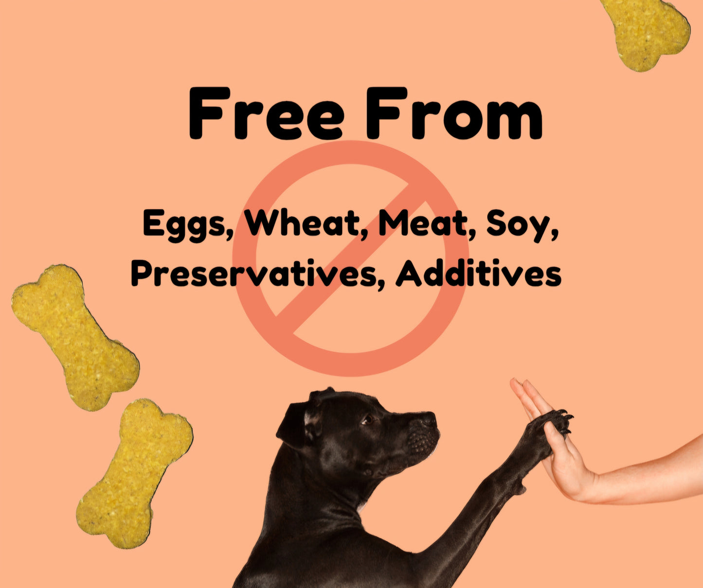 Pumpkin Dog Treats - FIBER-packed LIMITED INGREDIENT, HUMAN GRADE treat with COCONUT OIL designed for ALLERGIES and SENSITIVE STOMACH