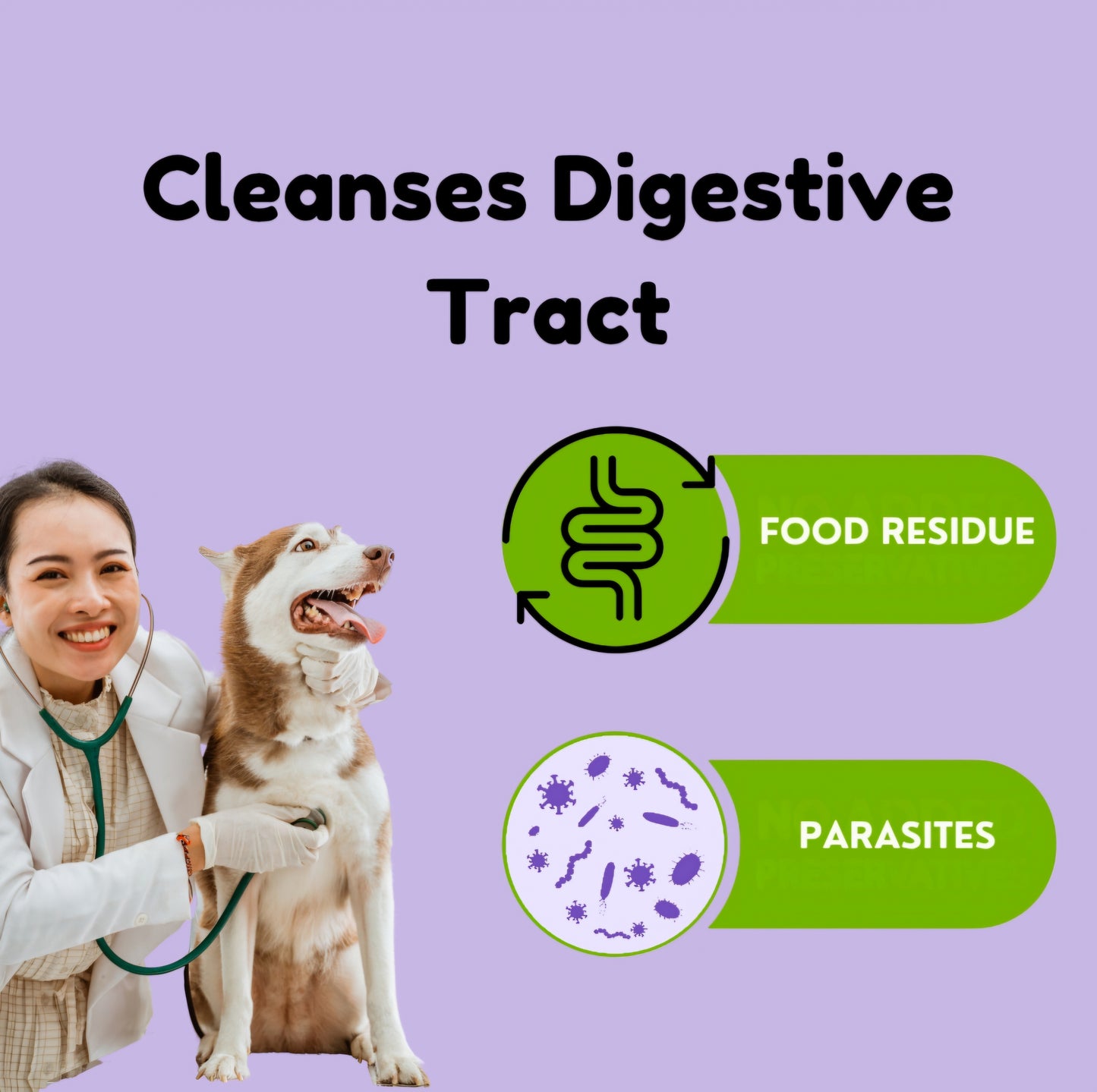 Rabbit Feet Dog Chews – Ethically Sourced Novelty Protein, perfect for Allergies, Sensitive Stomach, Crunchy Dental Health and Digestive Cleanse