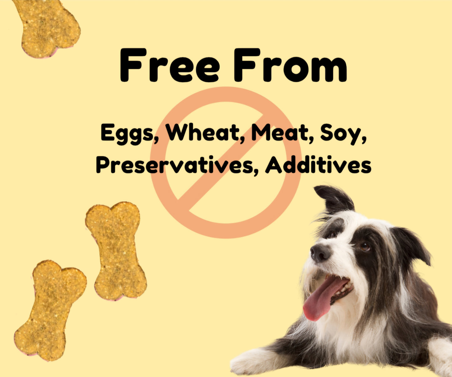 Allergy-friendly Peanut Butter Banana Dog Treats – Natural ingredients snacks for sensitive stomach and training