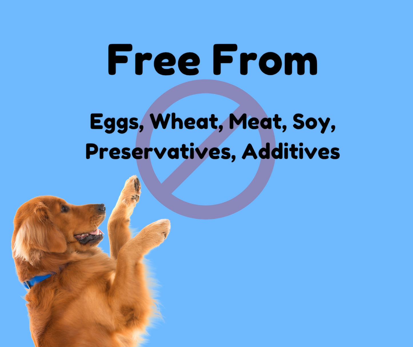 Blueberry Apple Dog Treats - Healthy natural ingredients for allergies, training routines, sensitive stomach, with no preservatives