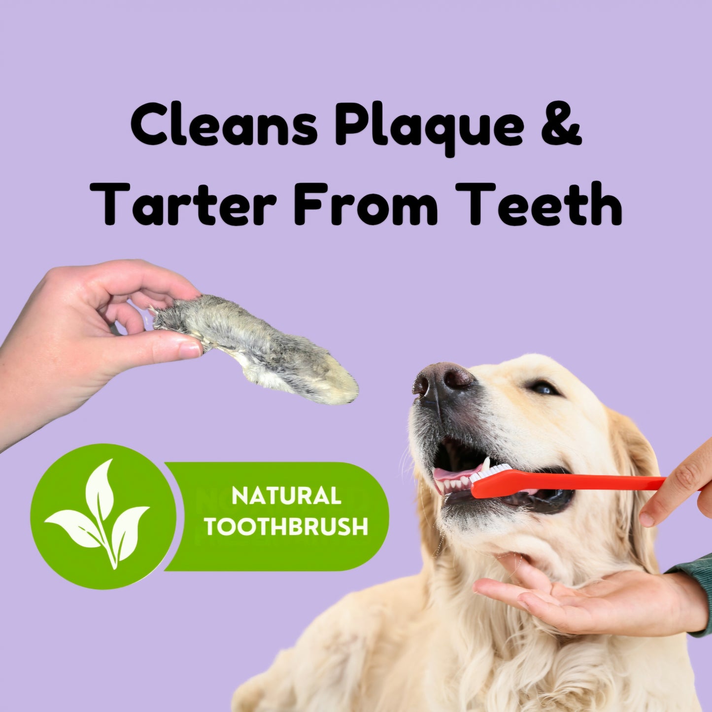 Rabbit Feet Dog Chews: Novelty Protein treat enhancing Allergies care, Sensitive Stomach relief, Crunchy Dental Health, and Easy Digestion