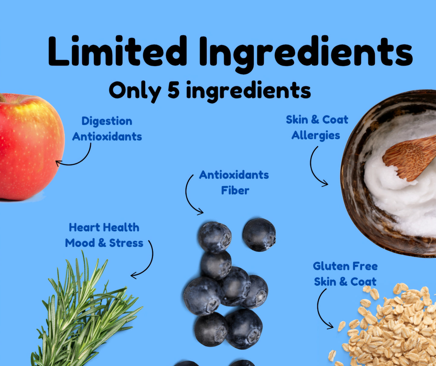 Blueberry Apple Dog Treats - Ideal treat with natural ingredients for dogs with allergies, great for training and sensitive stomachs, no preservatives