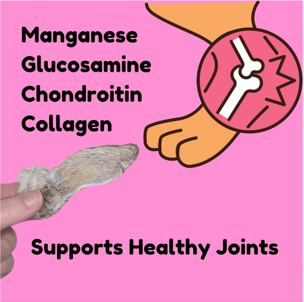Natural, single ingredient Rabbit Ears Dog Chews with novelty protein – crunchy treat for training, sensitive stomach, allergies, and no preservatives