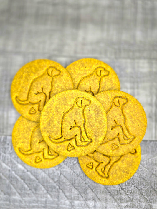 Dog Pooping Pumpkin Dog Cookies - Natural Ingredients | Handmade Dog Treats