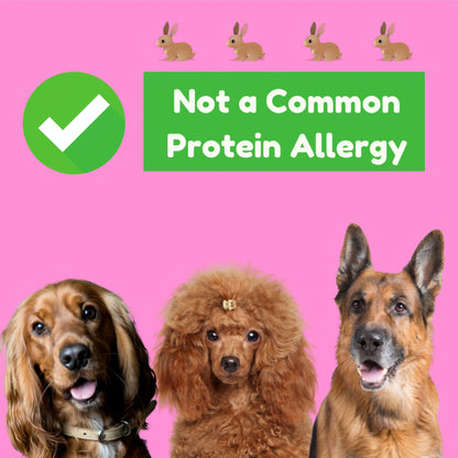 Rabbit Ears Dog Chews – single ingredient natural treat featuring crunchy novelty protein for sensitive stomach, allergies, training, and no preservatives